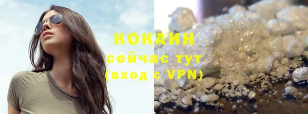 крисы Армянск