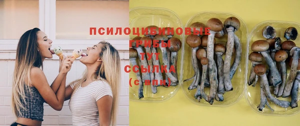 ешки Арсеньев